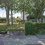 Lazy Near Hoek Holland Hoek van Holland