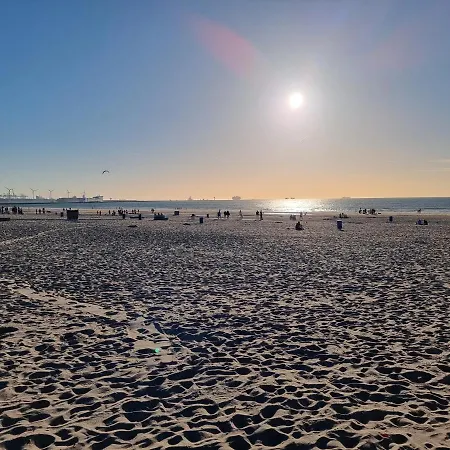 Lazy Near Hoek Holland Holiday home *