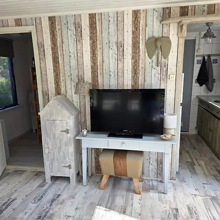 Lazy Near Hoek Holland *