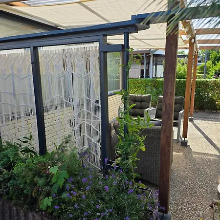 Lazy Near Hoek Holland Holiday home