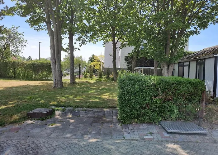 Lazy Near Hoek Holland Hoek van Holland