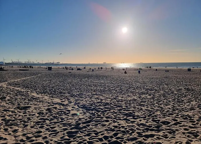 Lazy Near Hoek Holland Сasa de vacaciones *