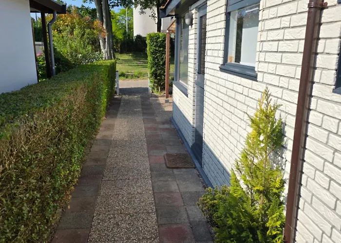 Lazy Near Hoek Holland Hoek van Holland